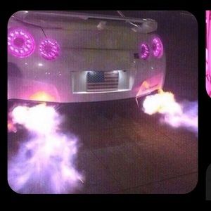 Meet your Posher, Izzy